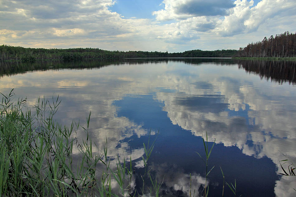Природа Заволжья