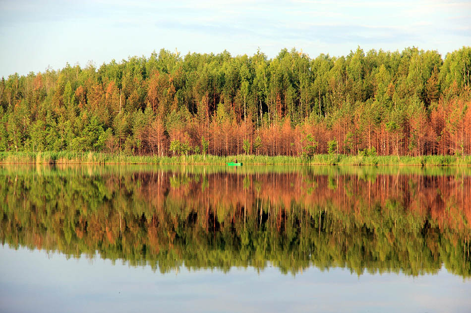 Природа Заволжья