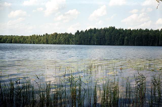 Природа Заволжья