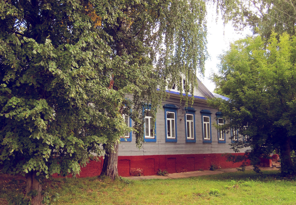 Демидовы в Быковке